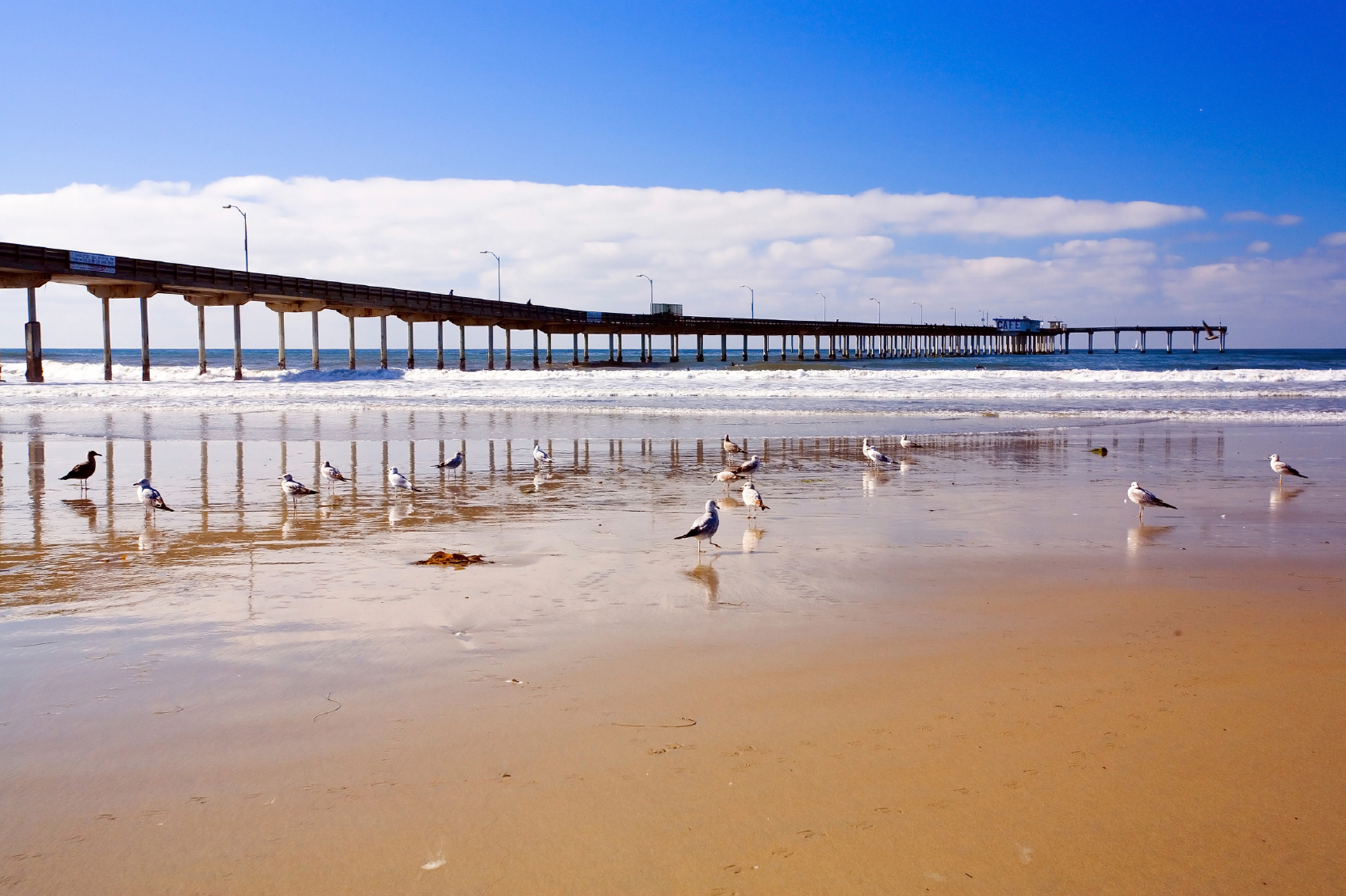 San Diego - Ocean Beach Pier