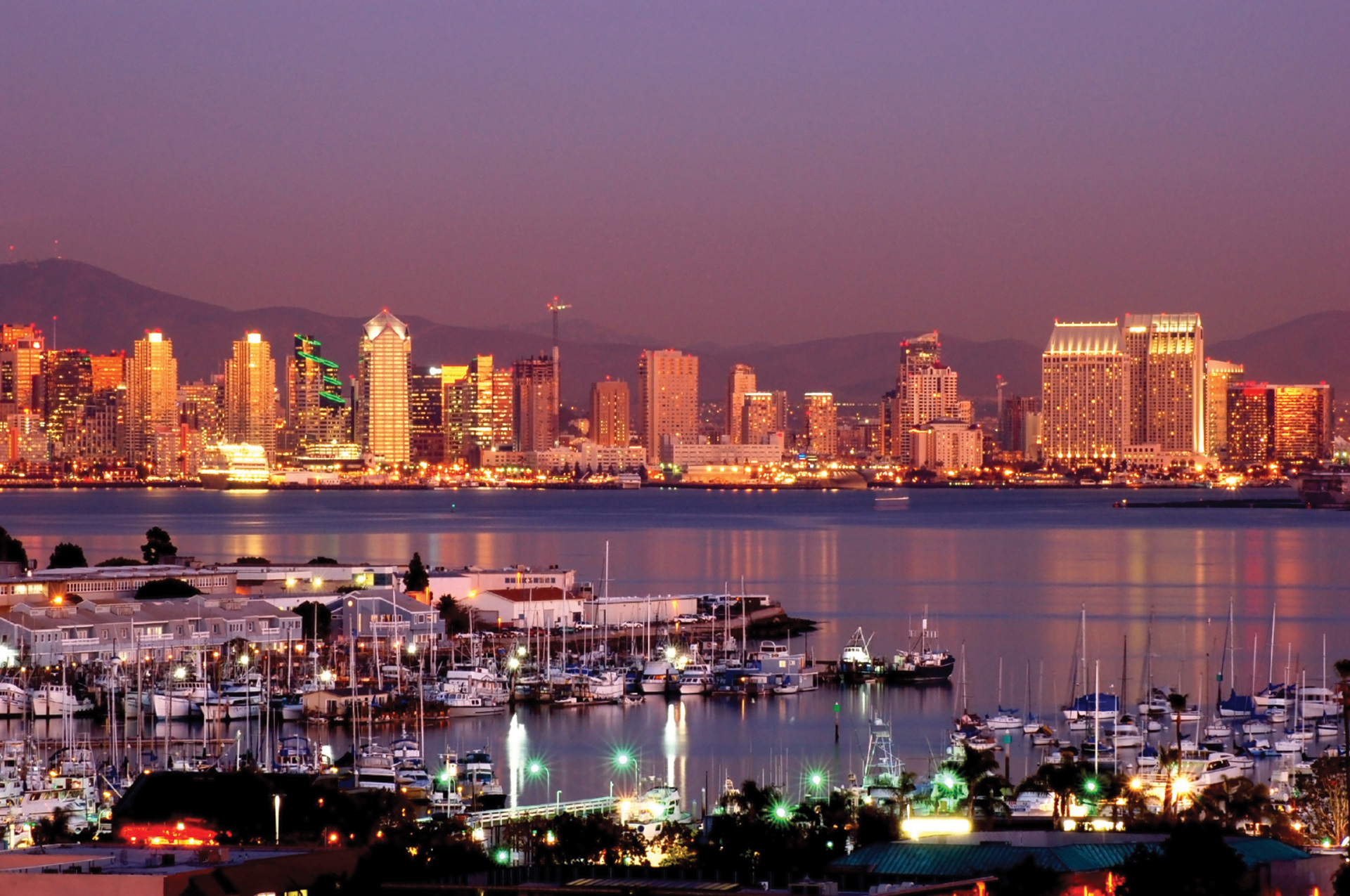 San Diego Skyline - Night